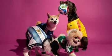 adidas Reworks FIFA World Cup 2026 Jerseys for Pets