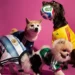 adidas Reworks FIFA World Cup 2026 Jerseys for Pets
