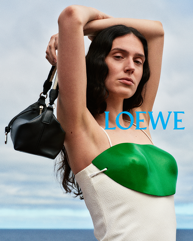 LOEWE Fall Winter 2026 Precollection