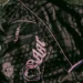 Billionaire Boys Club & ICECREAM Launch Football Pack 2026