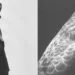 Songzio and Heliot Emil Return With “Falconry” for Summer 2026