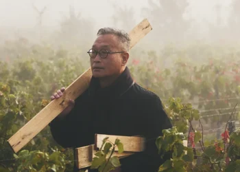Tadashi Kawamata on Ruinart, Nature and Shifting Perspectives