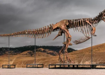 When Dinosaurs Became Art: Story of Gus and Trey