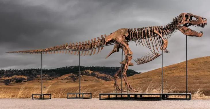 dinosaur skeleton auction