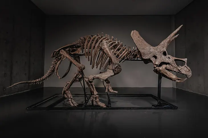 dinosaur skeleton auction