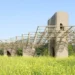 Wetland Caves Pavilion Connects Architecture With Longyou’s Ecosystem
