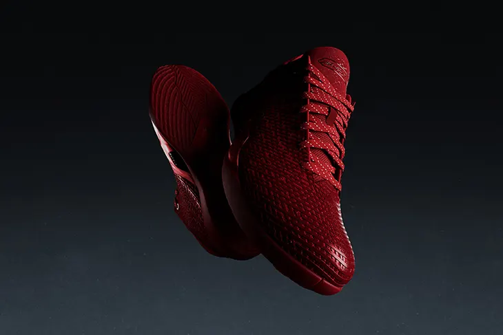 Air Jordan 41