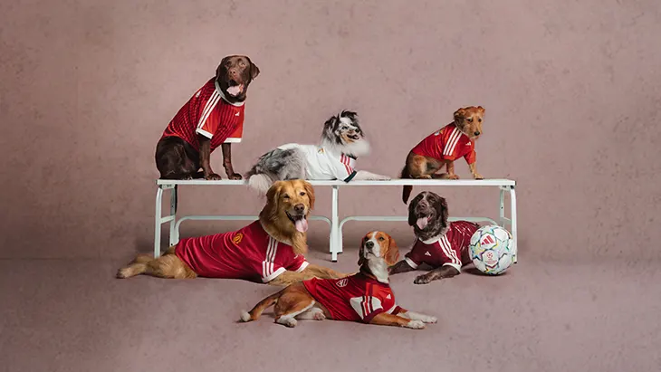 adidas Clubs Pet Collection