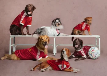 adidas Gives Pets Their Own Club Football Kits