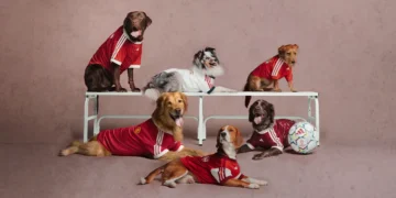 adidas Gives Pets Their Own Club Football Kits