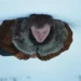MUBI Reveals Trailer for Andrew Haigh’s Drama A Long Winter