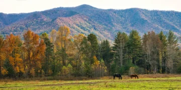 Richer Getaway: More Experiences Without the Bigger Price Tag