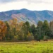 Richer Getaway: More Experiences Without the Bigger Price Tag